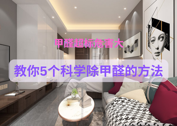 甲醛超标危害大,教你5个科学除甲醛的方法