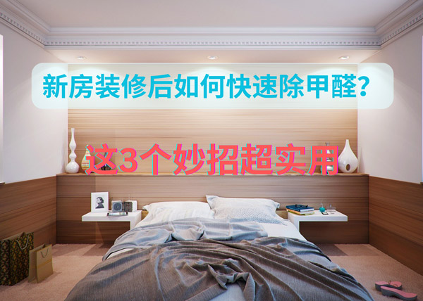 新房装修后如何快速除甲醛?这3个妙招超实用