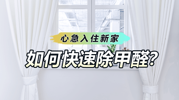 心急入住新家,如何快速搞定甲醛难题?