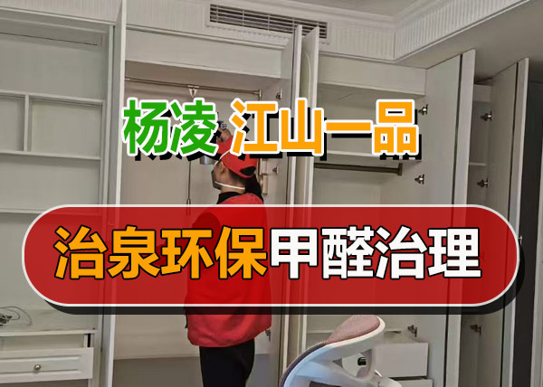 治泉环保江山一品甲醛治理案例