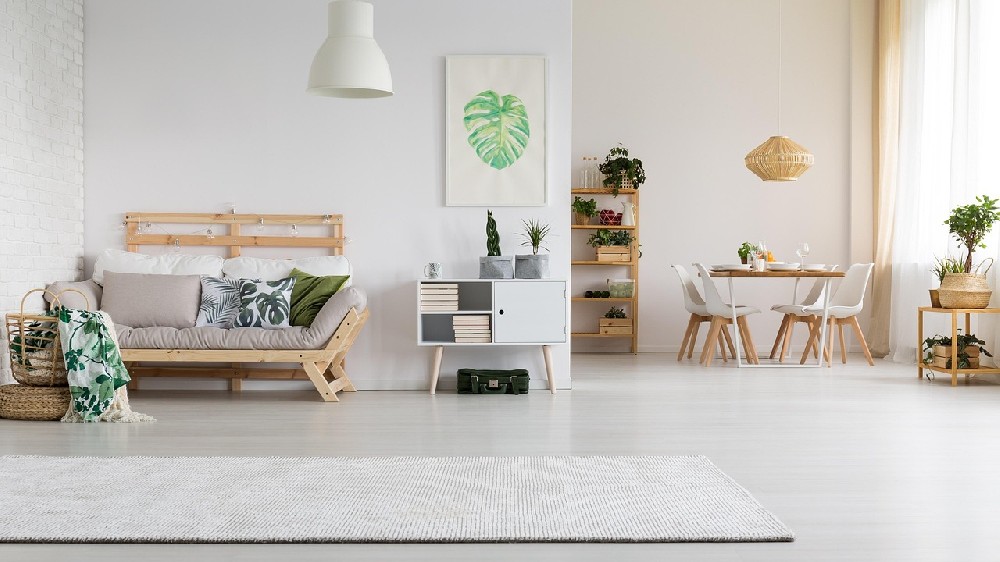 甲醛怕的其实不是通风？它最怕的是这3个“天敌”