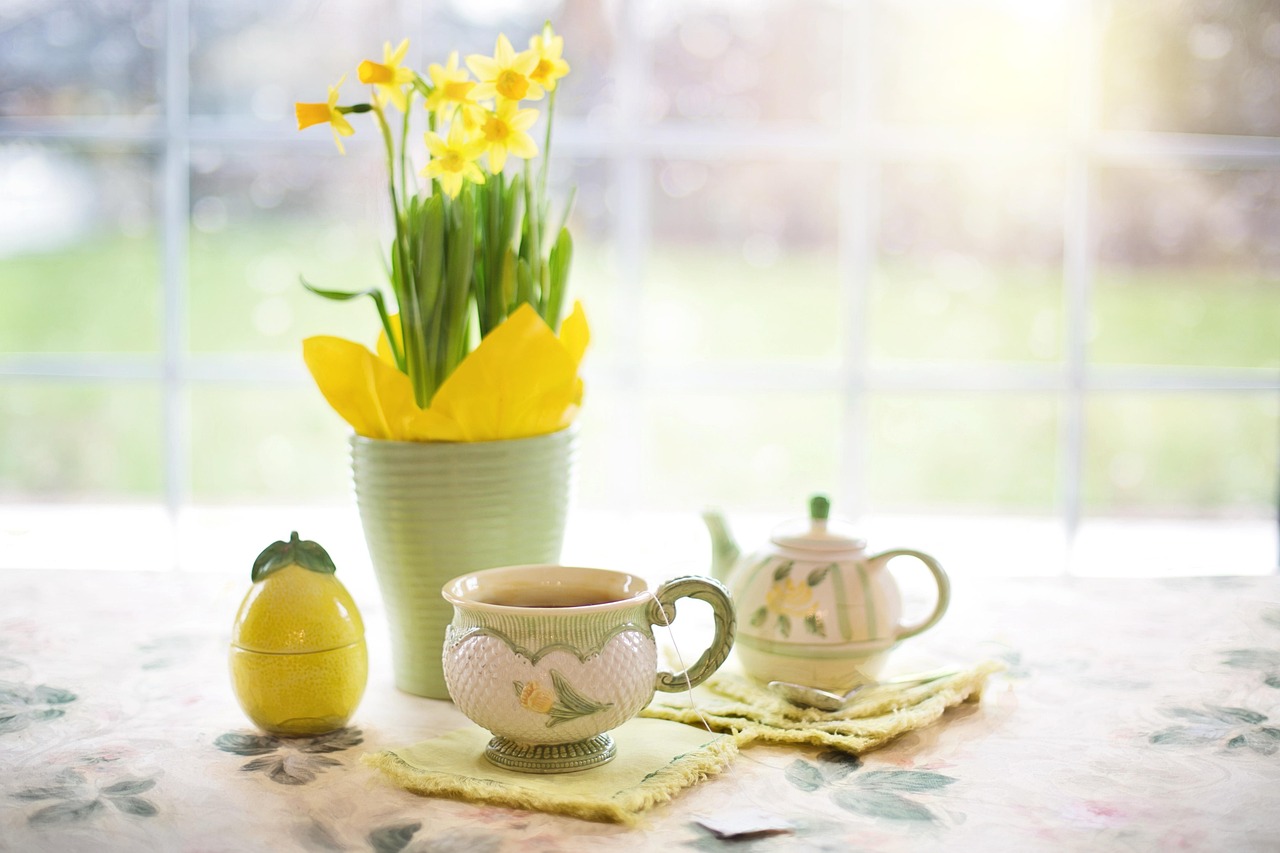 daffodils-1316127_1280.jpg